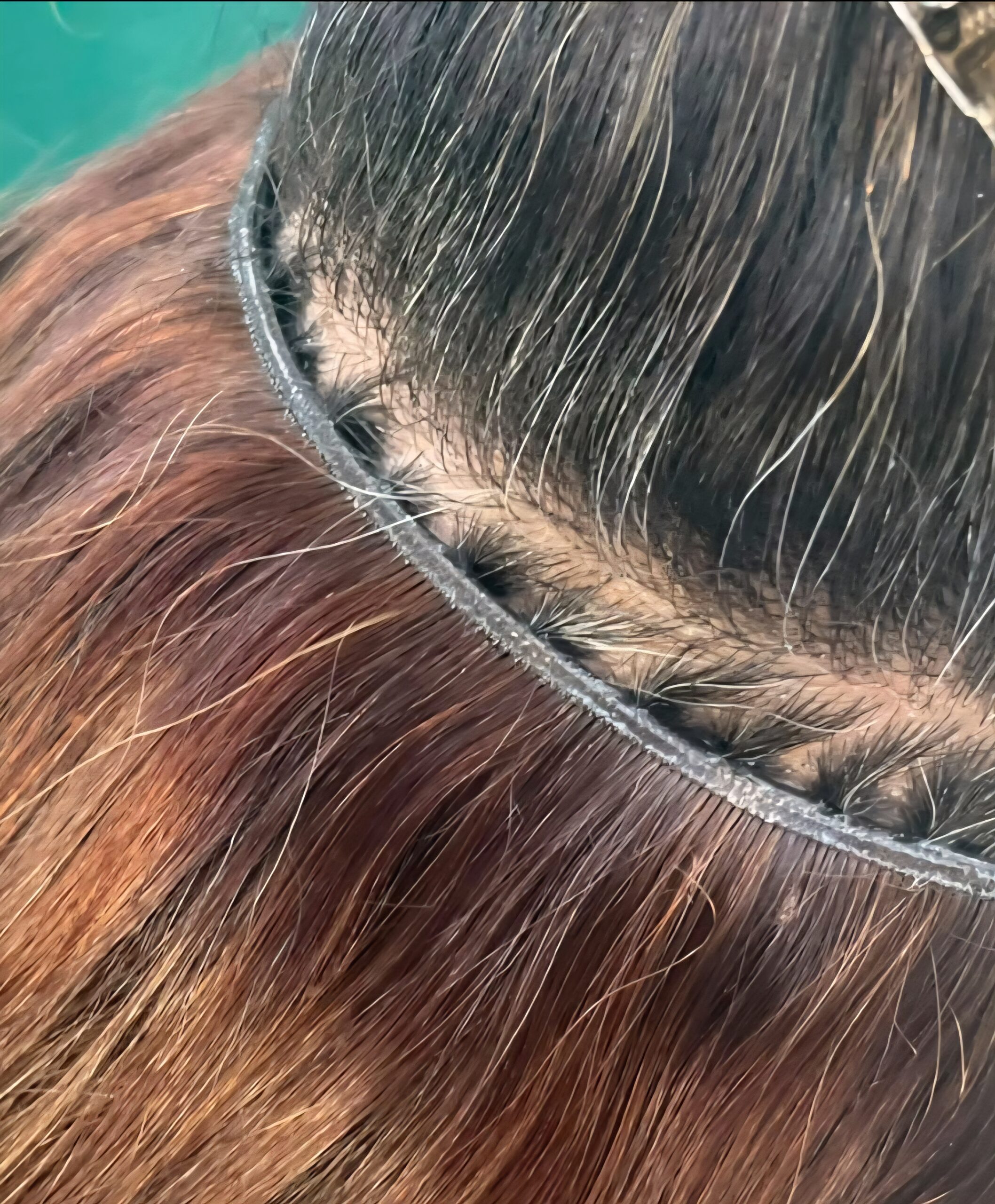 Weft hair extension maintenance at Hair Extension Experts Johannesburg